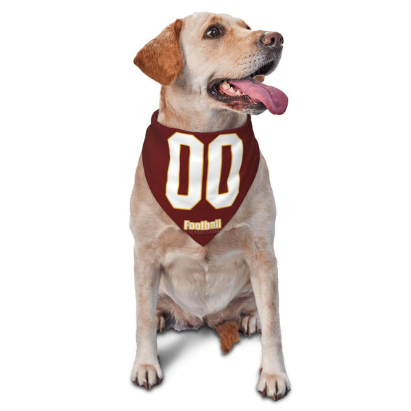 Bufanda triangular para mascotas KOPKOC Washington con nombre y número personalizados para regalos