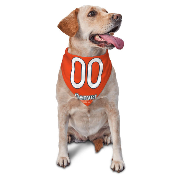 Bufanda triangular para mascota KOPKOC Denver con nombre personalizado y número para regalos